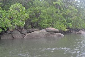 Wagub Gerah Lihat Limbah Minyak Kotori Perairan Bintan dan Batam