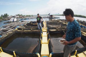 Pertamina Bina 12 Kelompok Ekonomi Masyarakat di Kepulauan Riau