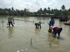 Dekki Kades Kuala Raya Turun Bersama Perangkat Desa Tanam Pohon Bakau