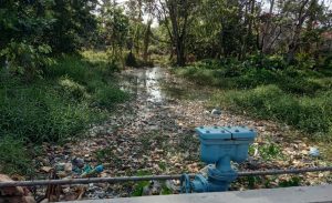 Kali Pinang Kencana Dipenuhi Sampah, Komunitas Lingkungan Keluhkan Bau