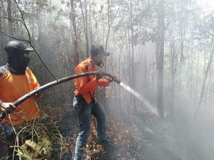 Hutan di Tanjung Pinggir Terbakar, PBK dan Polisi Bergerak Cepat