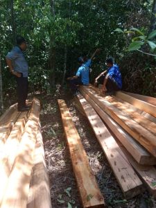 Illegal Logging Kembali Terjadi, Ditpam BP Batam Temukan Puluhan Batang Kayu