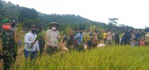 Pemkab Anambas Bantu Alat Kerja, Pupuk dan Bibit Padi ke Kelompok Tani di Jemaja Timur