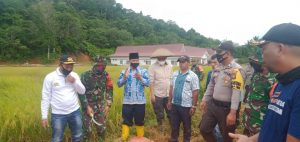 Petani Terus Dibina, Pemkab Targetkan 100 Hektar Tanaman Padi Tercapai di Periode ke-2