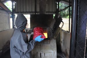 Kementan Kembali Musnahkan Bawang dan Cabe Kering eks-Impor Berbahaya