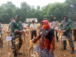 Bisa Jadi Contoh, Manfaatkan Lahan Mati untuk Pertanian