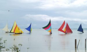 Lomba Sampan Layar Meriahkan Hut RI ke 75 di Kuala Raya Lingga