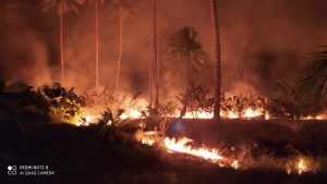 Belasan Hektare Lahan Kosong Di Bintan Terbakar