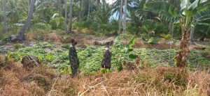 Babinsa Desa Tulang Himbau Masyarakat Untuk Tidak Membakar Lahan