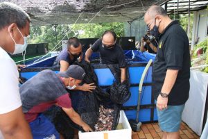 Jaga Ekosistem Waduk, Wakil Kepala BP Batam Tebar Benih Ikan di Waduk Sei Ladi