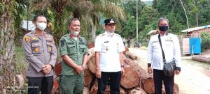 Wabup Kuansing Geram, Hutan Lindung Bukit Betabuh Nyaris Gundul Akibat Ilegal Logging