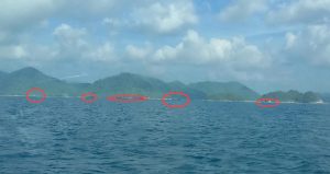 Waduh, Kapal Pukat Mayang Masuki Perairan Anambas