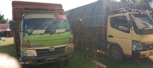 Gakkum DLHK Riau Belum Temukan Pemilik Empat Truk Kayu Ilegal di Kuansing