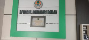 Rehabilitasi Hutan dan Lahan Bukit Betabuh dan Sentajo Libatkan 29 Kelompok Tani