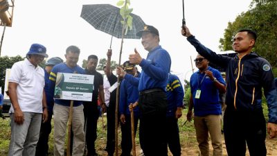 Hijaukan Kota Batam, BP Batam Mulai Gelar Penanaman 12.000 Pohon Jati Emas