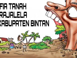 Pengembangan Industri di Kabupaten Bintan, Mafia Tanah Merajalela