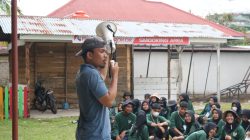 Aktivis Riau Angkat Bicara, Kabupaten Kuantan Singingi Darurat Pelecehan Seksual Terhadap Anak
