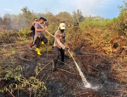 Kapolres Bengkalis Berjibaku Padamkan Api Karhutla di Kecamatan Bantan