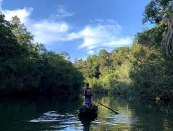 Menyusuri Hutan Mangrove dan Melihat Cahaya Cantik Kunang-kunang di Desa Resun Lingga