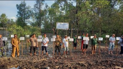 PT Timah Tbk Ikut Berpartisipasi Dalam Kegiatan Penanaman 1000 Mangrove di Desa Pangke