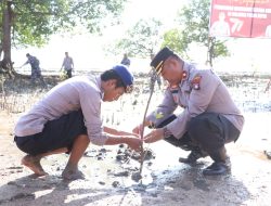 Sambut Hari Bhayangkara ke-77, Satpolairud Polres Karimun Tanam 1000 Pohon Mangrove