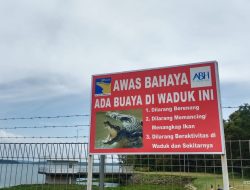 Banyak Buaya, Masyarakat Diimbau Agar Waspada