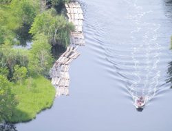 16 Tersangka Ilegal Logging Diamankan Polda Riau