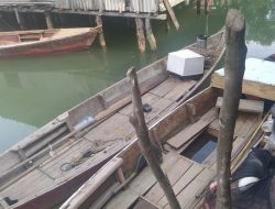 Ini Kronologis Seorang Nelayan Diterkam Buaya di Tanjungpinang