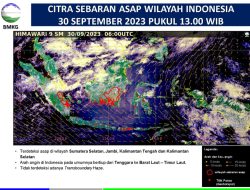 Ini Kata BMKG Riau Soal Penyebab Kabut Asap