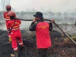 Petugas Gabungan Berjibaku Padamkan Kebakaran Lahan di Pelalawan