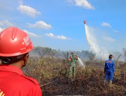 Dua Lokasi Karhutla di Riau Berhasil Dipadamkan