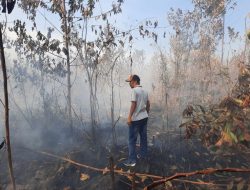 Polisi Amankan 34 Pelaku Kebakaran Lahan di Riau