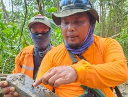 Operasi Senyap, Petugas Gabungan Kena Ranjau Paku Perambah Hutan