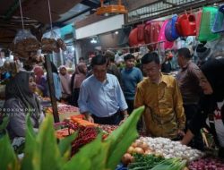 Pj Wali Kota Tanjungpinang Survei Harga Cabai di Pasar