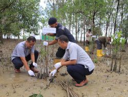 Kurangi Dampak Abrasi, PT Timah Tbk Ajak Koramil 03 Kundur Tanam Mangrove di Kundur