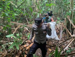 Sempat Hilang, Kakek 79 Tahun di Karimun Ditemukan Sudah Jadi Tulang