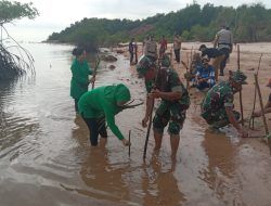 Danramil dan Persit Ranting Moro Ikut Tanam 300 Mangrove di Bibir Pantai