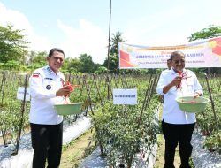 Serahkan Bantuan Untuk Petani Cabai di Moro, Ansar: Komoditi Cabai Berpengaruh Besar Terhadap Inflasi