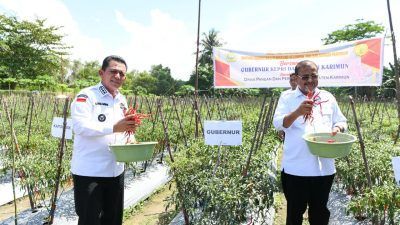 Serahkan Bantuan Untuk Petani Cabai di Moro, Ansar: Komoditi Cabai Berpengaruh Besar Terhadap Inflasi