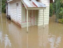 Lima Kabupaten di Riau Dilanda Banjir