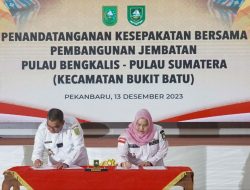 Terpanjang se-Indonesia Kalahkan Suramadu, Biaya Pembangunan Jembatan di Bengkalis Bisa Dihemat