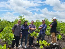 PWI Kepri Siapkan 50 Ribu Bibit Mangrove Untuk Ditanam Sambut HPN 2024