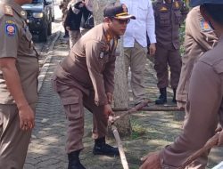 Satpol PP dan Damkar Kepri Kerahkan Anggota Turunkan APK Pemilu