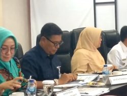 Hasan Bahas Penanganan Ketenagakerjaan di Tanjungpinang ke Komisi IX DPR RI