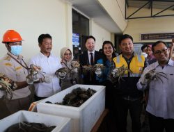 Lepas Ekspor Perdana Kepiting Bakau ke China, Rudi Harap Terus Berlanjut