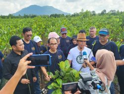 Ricoh Jepang Dukung Aksi PWI Kepri Tanam Mangrove di Pulau Bintan