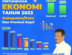 Tertinggi di Kepri, Pertumbuhan Ekonomi Batam Capai 7,04 Persen