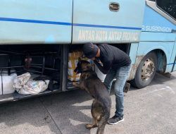 Bareskrim Polri Turunkan 6 Anjing K9 Bantu Lacak Peredaran Narkoba di Pelabuhan Bakauheni