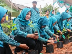 TP-PKK Kepri dan Tanjungpinang Ikut Gerakan Tanam Cabai Nasional Serentak