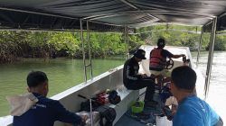 Potensi Wisata Mangrove Rumah Bintan, Kelap Kelip Malam Kunang-kunang